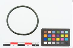 Foto von Bronzeamring (NHMW-PRAE-026238)